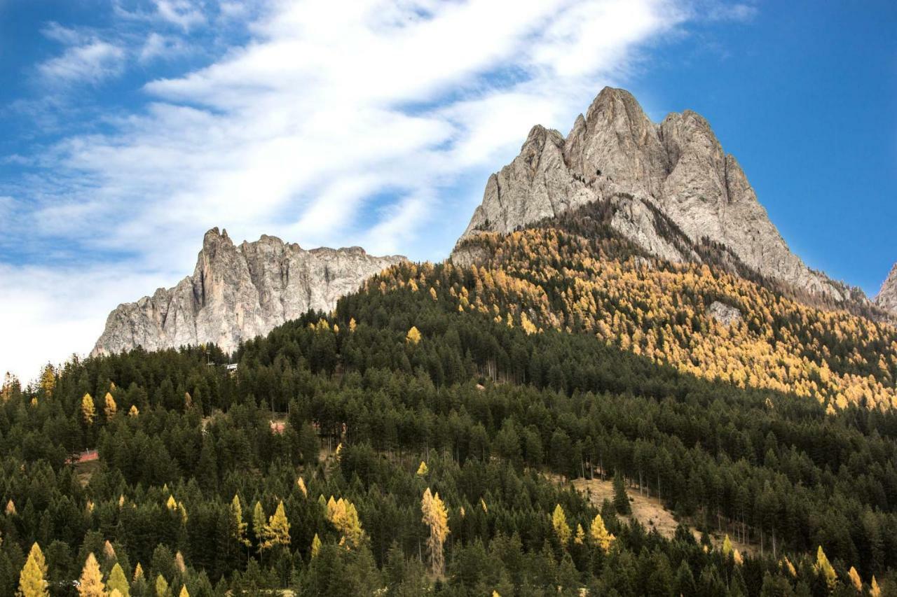 Ferienwohnung Wellness Fassa Pozza di Fassa Exterior foto